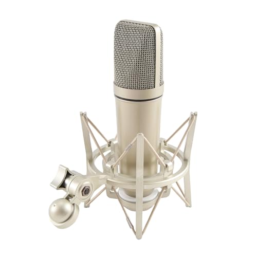 Corps de microphone U-87 DIY facile a utiliser avec travail soigne - 5