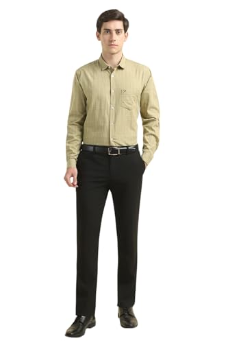 Image of Allen Solly Men's Checkered Formal Shirt | Full Sleeve | Regular Fit | Crisp Tailored Look | Office & Workwear