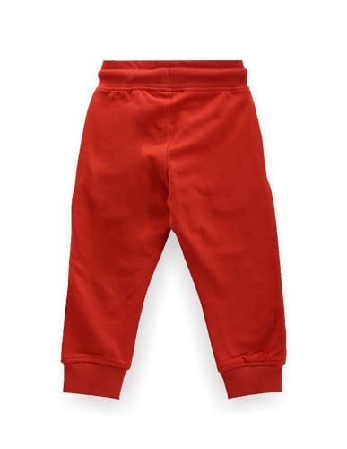 Image of U.S. Polo Assn. Kids Regular fit Boys Cotton Track Pants