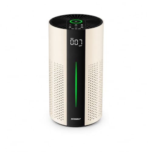 Large Room Air Purifier with HEPA and Auto Mode