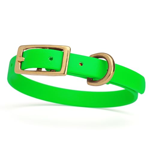 Image of Viper Biothane Heavy Duty Waterproof Dog Collar Strong Coated Nylon Webbing w /Solid Brass Hardware Odor-Proof Easy to Clean High Performance Fits Small Medium or Large Dogs, Tropical Green