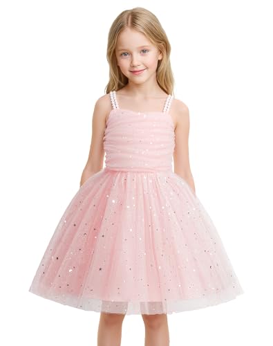 HNXDYY Flower Girl Tutu Birthday Party Pageant Lace Princess Wedding Formal Pegeant Dance Gown