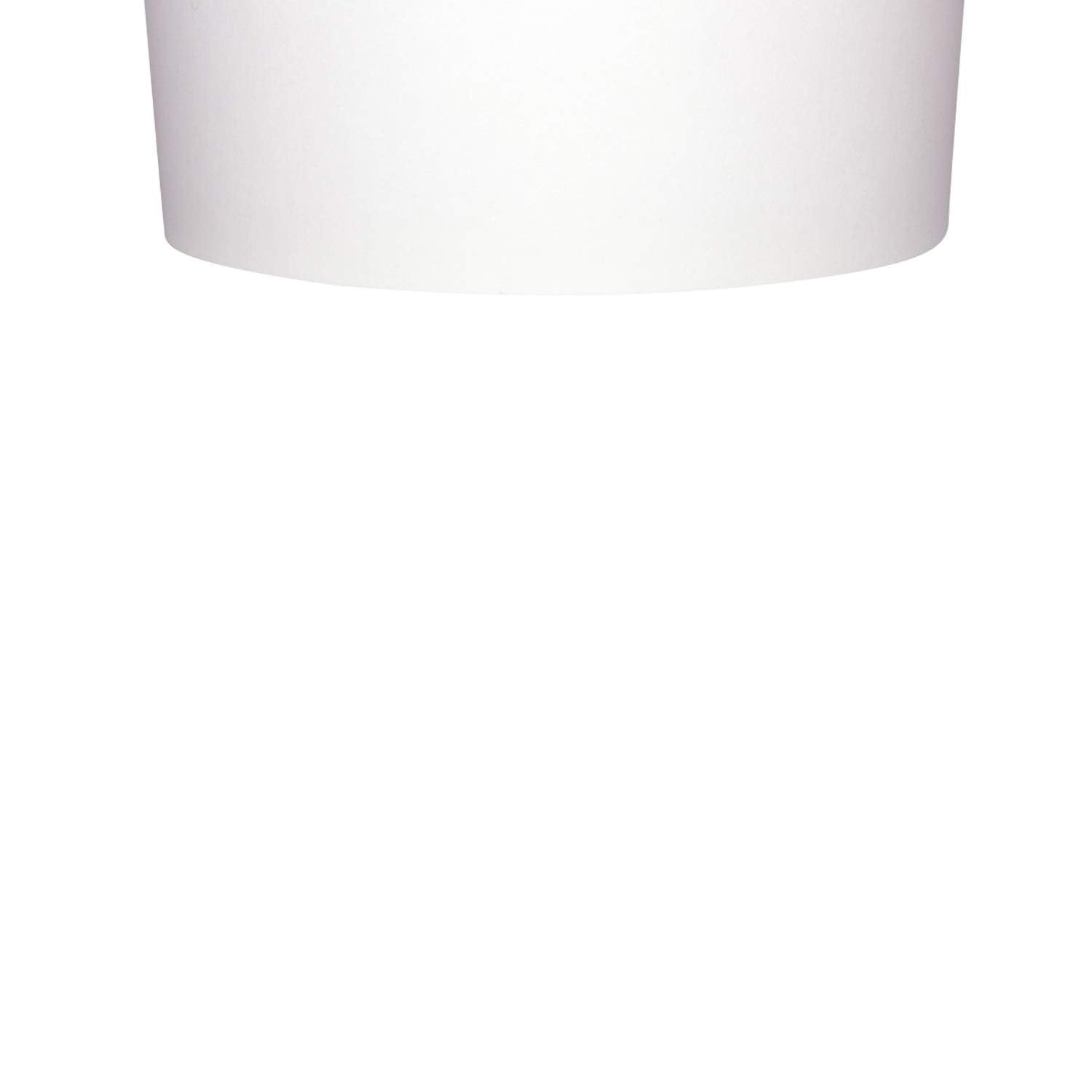 Récipients en papier blanc 590ml étanches pour potage chaud et yaourt glacé