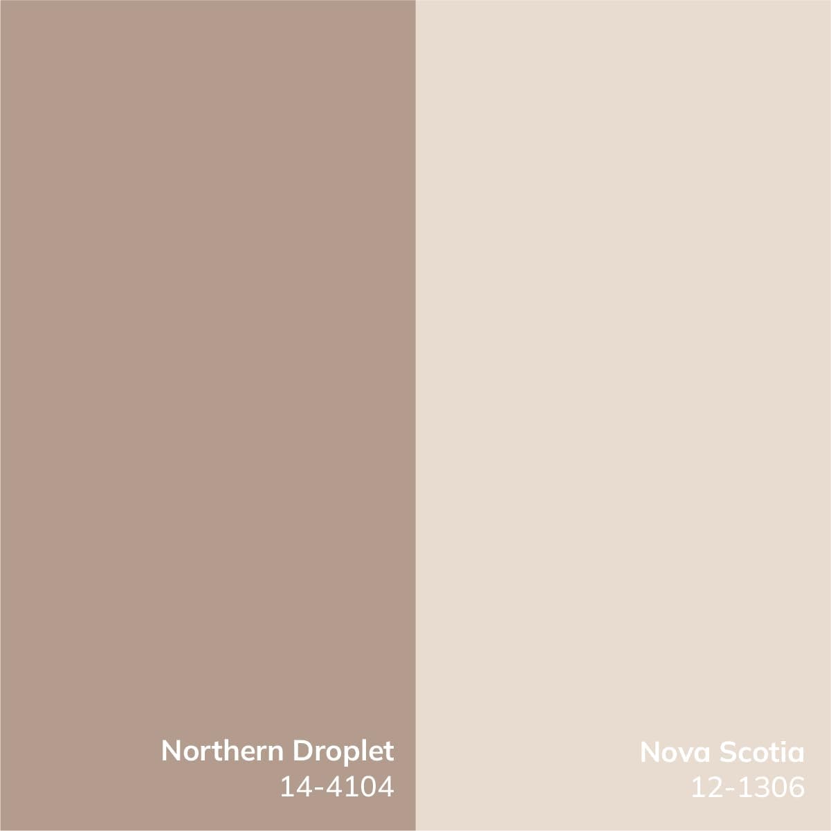 Livabliss x Nabela Noor Home Maya Global Floral Area Rug, 2'7" x 7'10",Light Brown