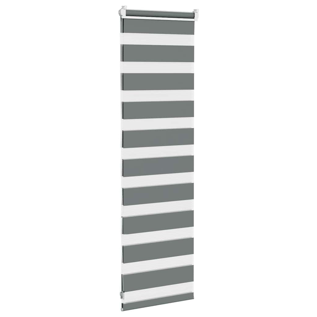 Doppelrollo Dunkelgrau 45x100 cm Polyester mit Klemmbügeln und Schrauben, blickdichtes Plissee Rollo für Fenster, Innenjalousie mit Verdunkelung, Sichtschutz, Sonnenschutz