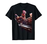 Chicken Music Design
