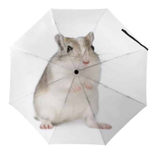 Parapluie automatique compact femme africaine résistant au vent fort