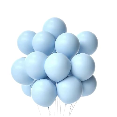 Rosy.Moment Pastel Latex Macaron Balloons For Baby Shower Wedding Birthday Party Supplies-Blue 12 inch 40 Pcs PB40BL