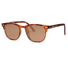 Orange Tortoise/Brown