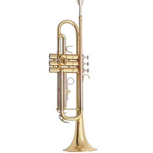 �y��g�����y�b�g �⃁�b�L�S�[���h�L�[B�t���b�g�g�����y�b�g�y��o���h�O���[�h�����v���t�F�b�V���i���p�t�H�[�}���X(Three-color model+leather case)