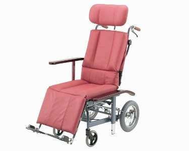 yNCjOԂzX`[tNCjOpԂ  [NHR-12]