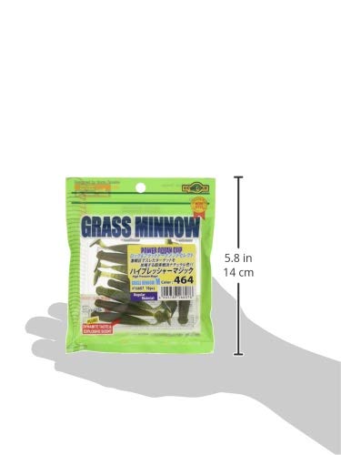 Amazon | エコギア(Ecogear) ワーム グラスミノーM 2-1/2インチ