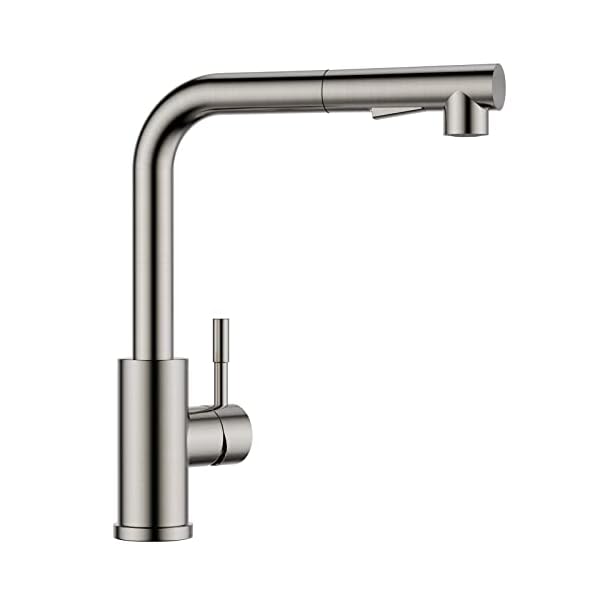 FORIOUS Wasserhahn, Hochdruck Küchenarmatur mit Brause Ausziehbar Armatur, Mischbatterie Spültischarmatur Küche küchenarmaturen, 360° Schwenkbar Zwei Sprühfunktionen, Edelstahl