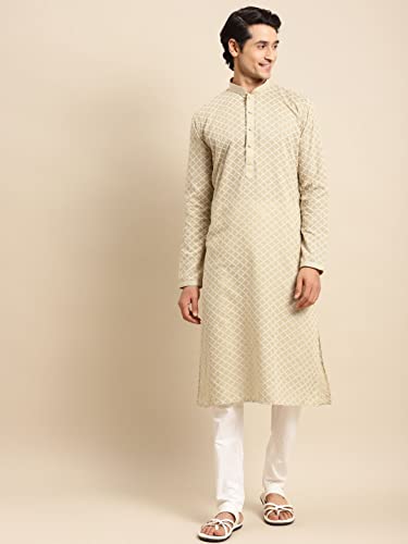 Image of Rajubhai Hargovindas Men's Chikankari Embroidered Cotton Kurta (Ches)