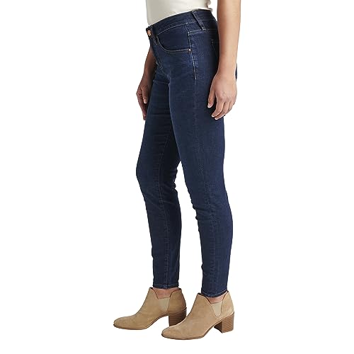 Jag Jeans Women's Cecilia Mid Rise Skinny Jeans2