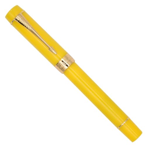 Stylo plume à clip avec convertisseur Jinhao pour un flux d'encre régulier
