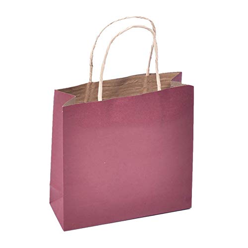 Sapco Gift Paper Carry Bag Pack of 10(Solid Brown)