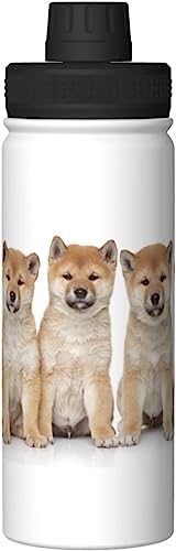 柴犬 犬柄 子犬 きれい アニメ 水筒 真空断熱 保温 保冷 スポーツボトル 人気 ステンレスボトル スポーツ飲料対応 漏れない 直飲み530ml 男の子 女の子 おしゃれ 大人 子供 グッズ キャラクター 雑貨 zj152