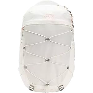 north face jester luxe backpack rose gold