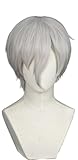 ZREVSB Land of the Lustrous Antarcticite Cosplay Wig Costume Party Role Play Halloween Christmas Hair +Wigs Cap