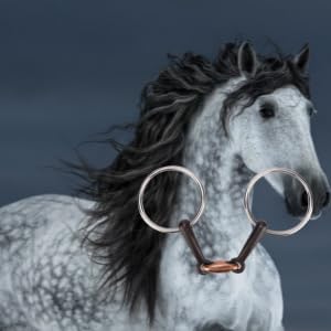 TOPINCN Horse Snaffle Bit, All Purpose Ring Snaffle Bit Easy to Install Stainless Steel Material Horse Mouth Snaffle Bit O Ring (#2)