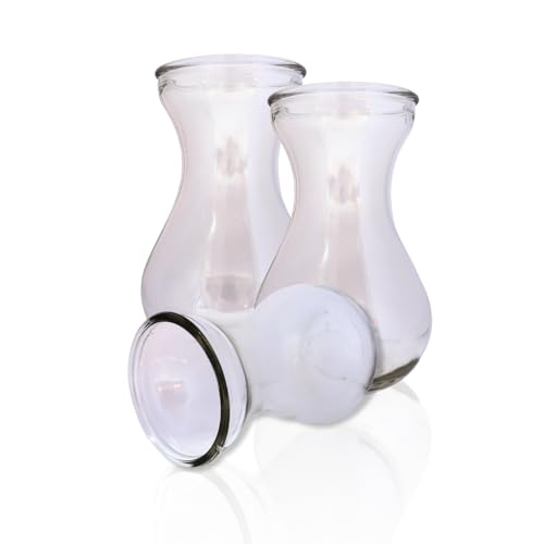 Hyazinthengläser (klar) | 3 Stück | Ideal für präparierte Hyazinthen | Vase...