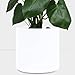 PEACH & PEBBLE Indoor Plant Pot (10.5", 8.5", 6.5") - White Terracotta Planter, Perfect for House Plants - Available in White, Black, Bronze, and Blush