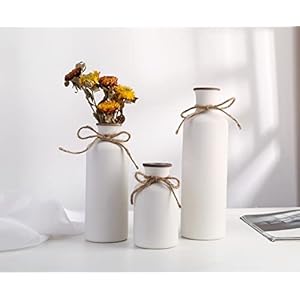 WHJY Modern Farmhouse Vase Decor, Set of 3 White Vases for Decor, Decorative White Vase Centerpiece Accent, Ceramic Vase Set for Farmhouse Living Room, Tabletop Décor WHJY Modern Farmhouse Vase Decor Set of 3 White Vases for Decor Decorative White Vase Centerpiece Accent Ceramic Vase Set for Farmhouse Living Room Tabletop Decor