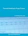 Financial Modelling for Project Finance: Pre-financial close cashflow modelling in Excel (LAC finance texts)