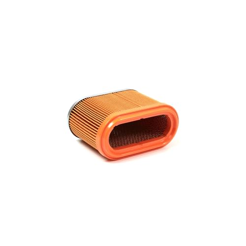 0D9723 - Generac Guardian air filter