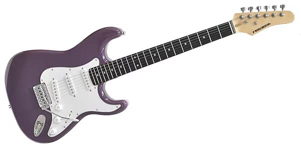 ギター　play tech PLAYTECH ( プレイテック ) AG28C Blue Burst 送料無料