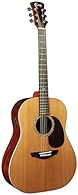 Faith Guitars Electro Acoustic Guitar