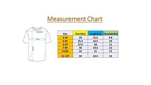 Image of BAUS Cotton Casual Regular Fit Half Sleeve Fat Panda T-Shirt for Boys (Yellow)