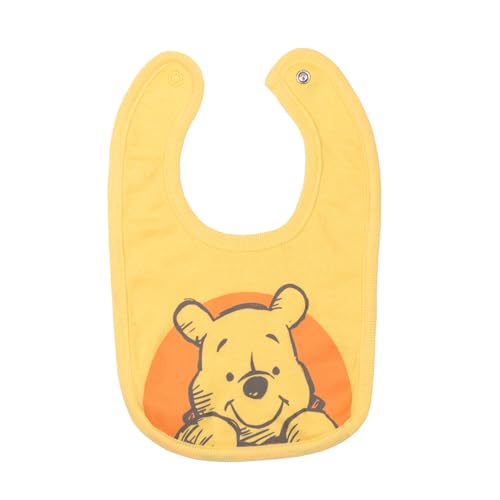 Disney Winnie the Pooh Baby Bodysuit Pants Bib and Hat 4 Piece Outfit Set Newborn to Infant