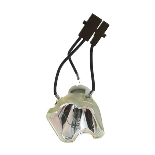 VT80LP Replacement Lamp for NEC/Canon Projectors