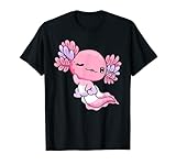 Pomosexuelle Pride Kawaii Axolotl Pomosexuelle Flagge T-Shirt