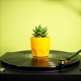 VologodskySound