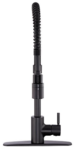 Gerber Plumbing The Foodie Single Handle Pre-Rinse Kitchen Faucet #TOP3