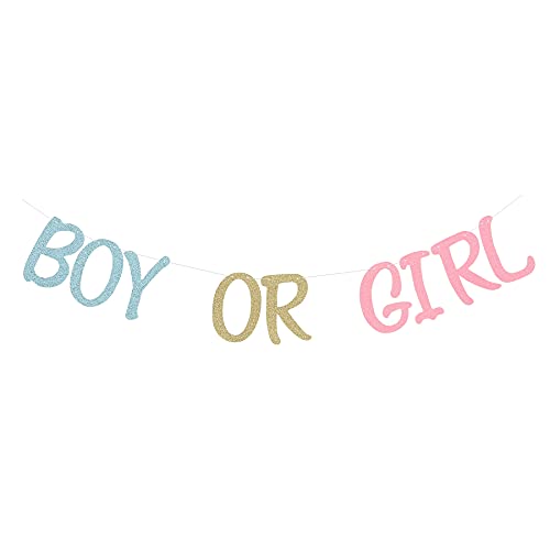 Glittery Boy or Girl Banner for Gender Reveal Party Decorations Photo Prop Baby Shower Backdrop