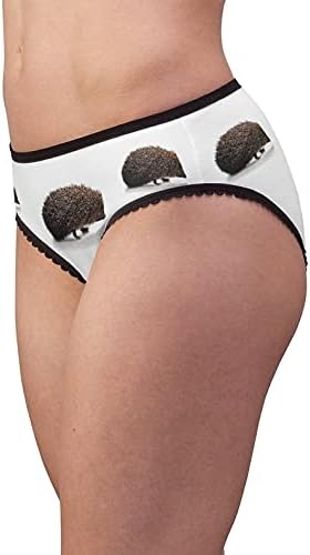 Hedgehog Isolated Panties, Hedgehog Isolated Underwear, Briefs, Cotton Briefs, Funny Underwear, Panties For Women