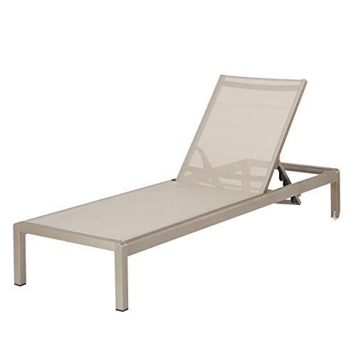 Christopher Knight Home Cape Coral KD Outdoor Mesh Chaise Lounge, Gray