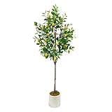 Grand Citronnier Artificiel 180cm – Un Arbre Méditerranéen Imposant: Ce grand citronnier artificiel réaliste de 180cm est un véritable atout décoratif pour votre salon, bureau ou balcon. Avec son pot blanc élégant et sa mousse décorative au pied, il apporte une touche provençale authentique sans nécessiter aucun entretien.