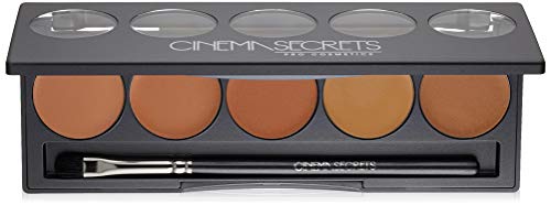 Cinema Secrets Ultimate Corrector 5-in-1 Palette