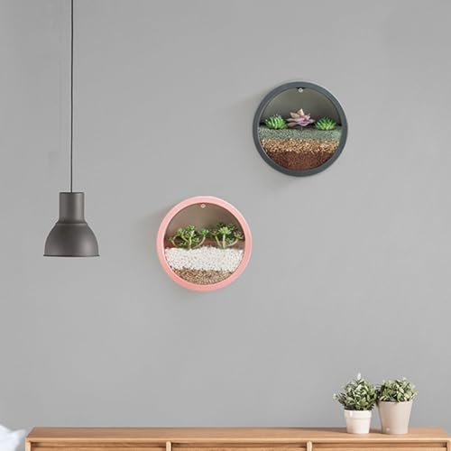 Pot de fleurs mural vertical pour intérieur et plantes vertes
