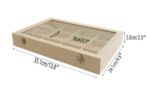 Adjustable Rock Display Case