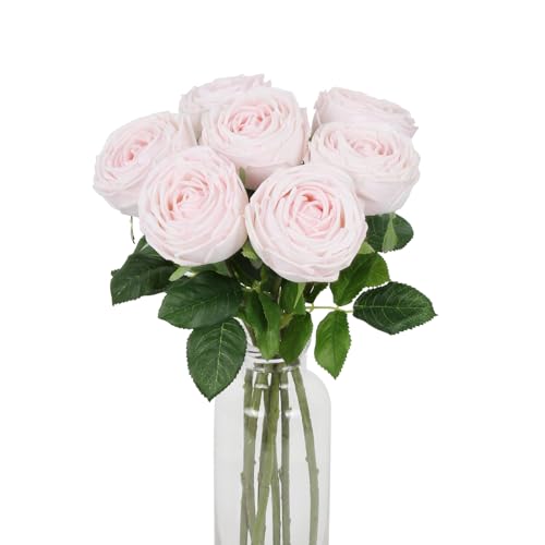 INSUNSIX ペールピンクローズ リアルタッチフラワー 5個 ラテックスシルク人工バラ 本物のフェイクフラワー 花瓶用 ウェディングブーケ フラワーセンターピース ホームパーティーの装飾用 (ペールピンク)のサムネイル
