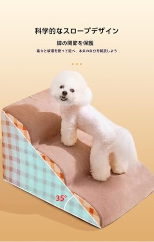 BtcFuybgpKiAX΂͂A~߁AOE\Ap^xbhA\t@pXebvAybgpi (eBA3)