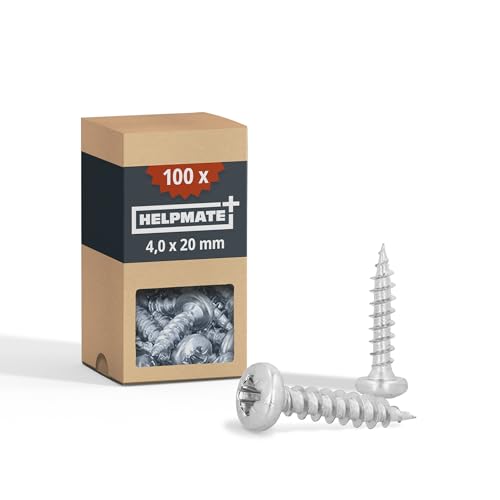 HELPMATE – Lot de 100 vis à bois à tête bombée – 4,0x20 mm – galvanisées – Vis à bois avec entraînement PZ et filetage complet – Pour la...