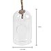 MyGift Hanging Planter Plant Terrarium, Clear Glass Cylindrical Succulent Holder with Top Knot Hanger Rope, Set of 2