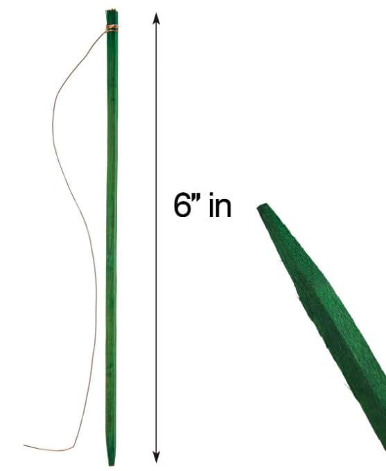 Wood Picks Flower Stem Extenders, 3-7 inches, 25-400 ct., Green, with Copper Wire (300, 6 INCH), FBFSWWPA37